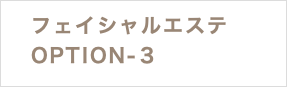 フェイシャルエステ OPTION-３