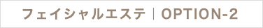 フェイシャルエステ｜OPTION-2