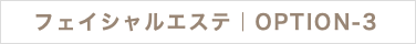 フェイシャルエステ｜OPTION-3
